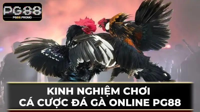 Quản lý nguồn vốn hợp lý cũng là một nét nghệ thuật